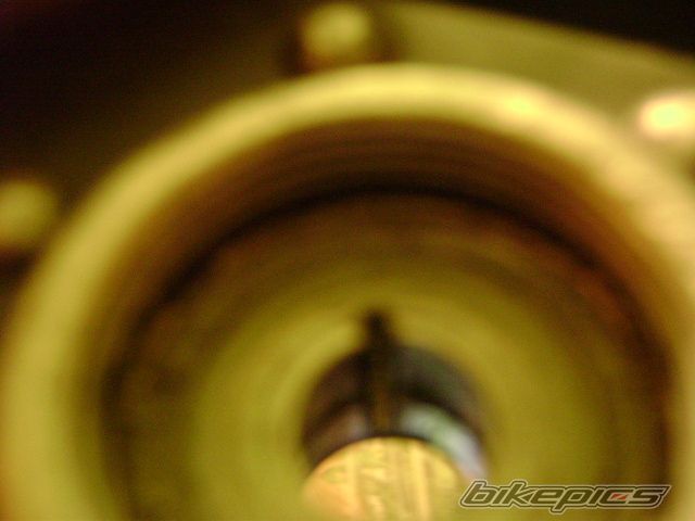Photo 1491607