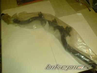 Photo 1491642