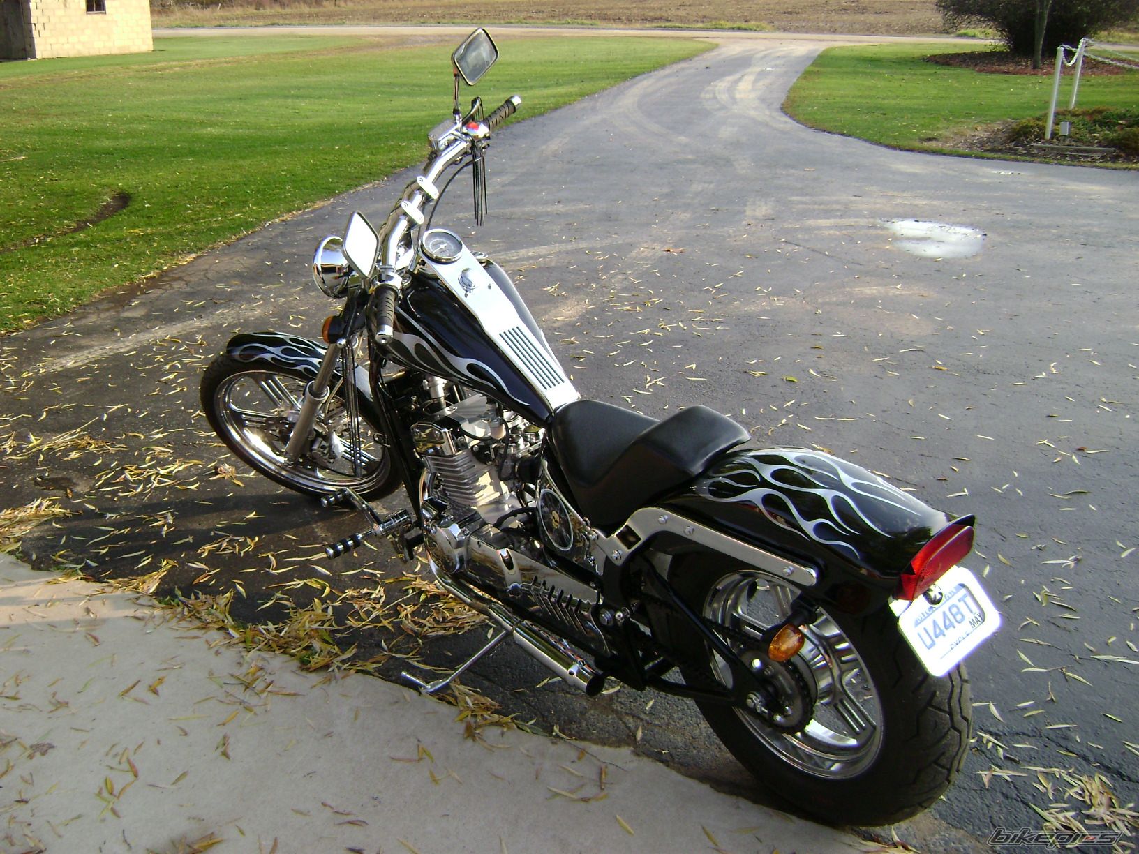 Photo 1491666