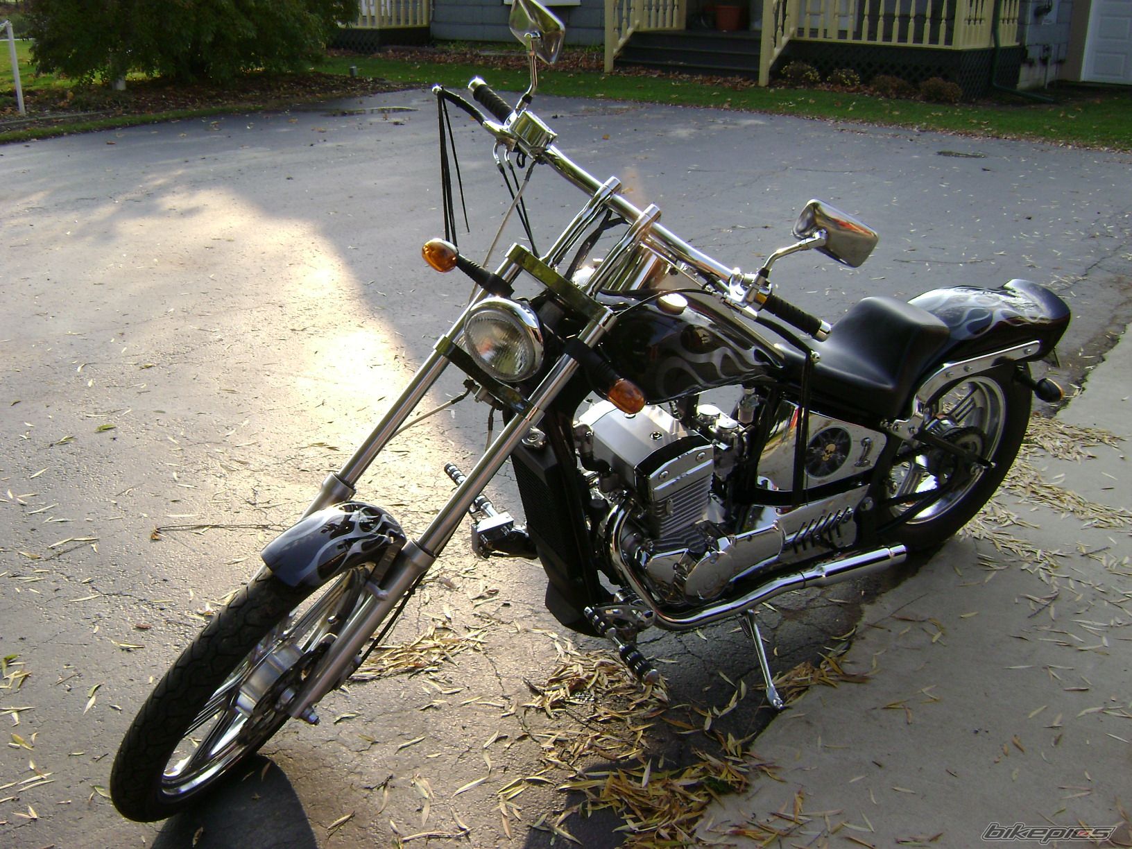 Photo 1491674