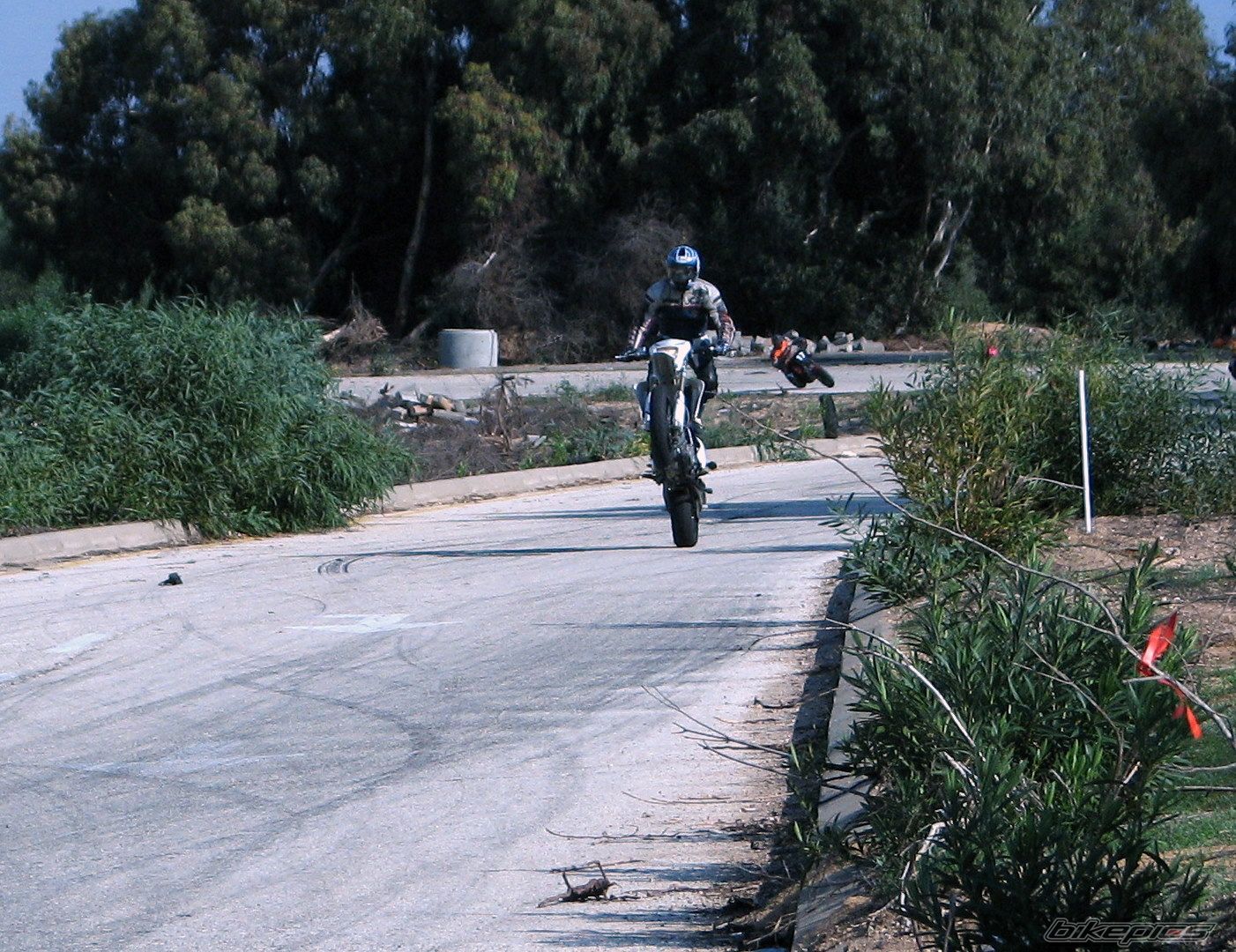 Photo 1491686