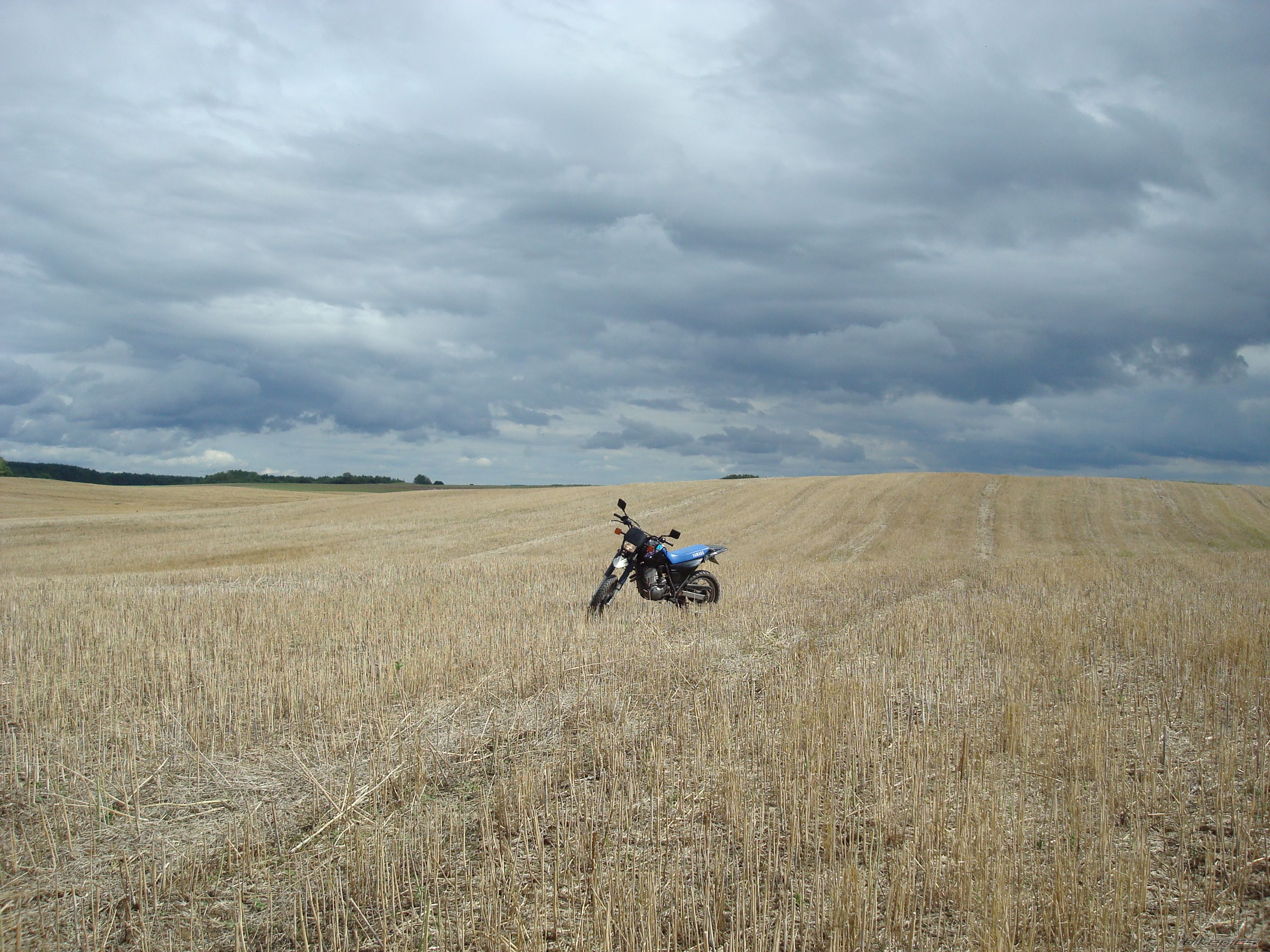 Photo 1491821