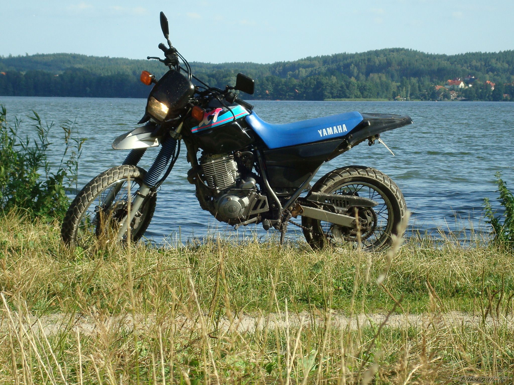 Photo 1491833