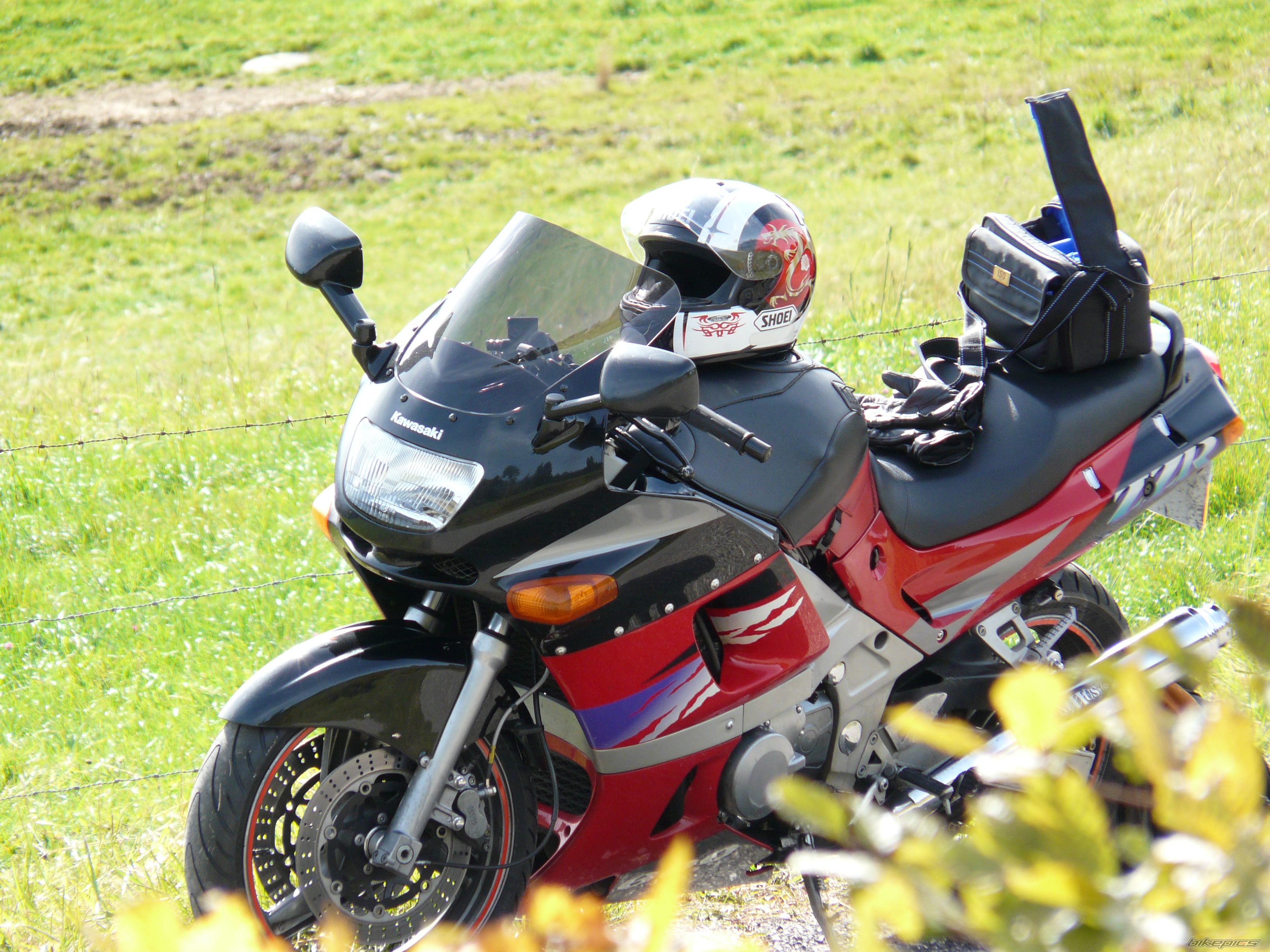 Photo 1491866