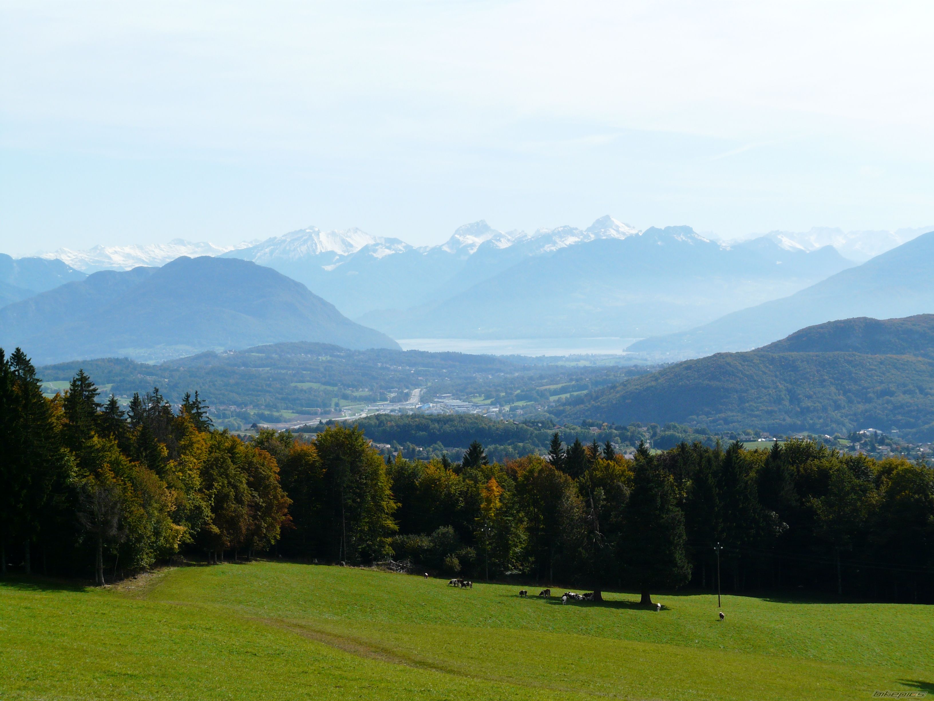 Photo 1491869