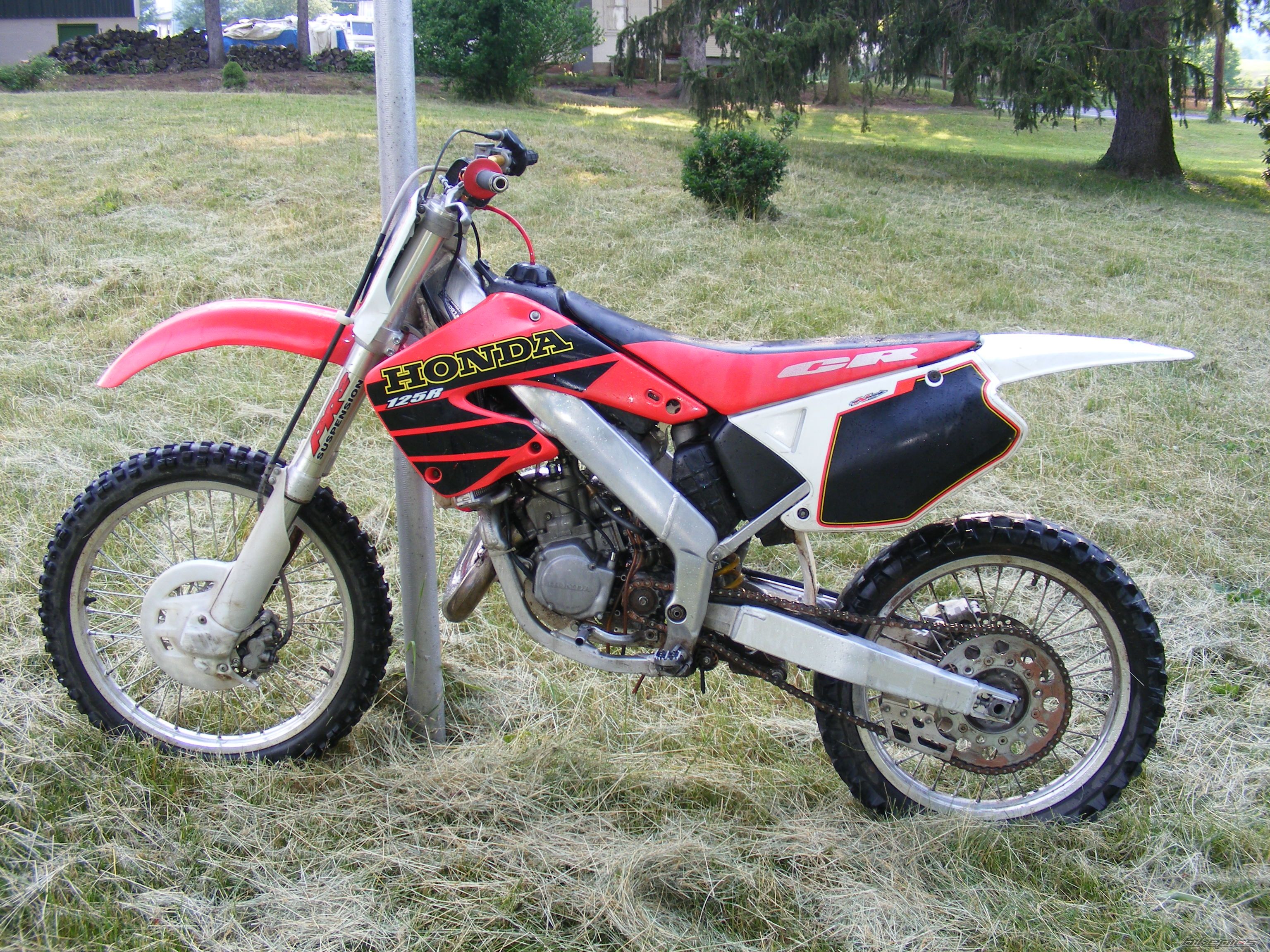 Photo 1491886