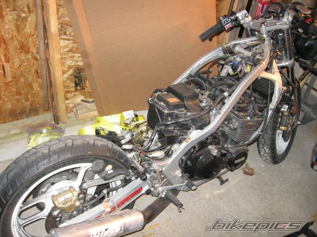 Photo 1491902