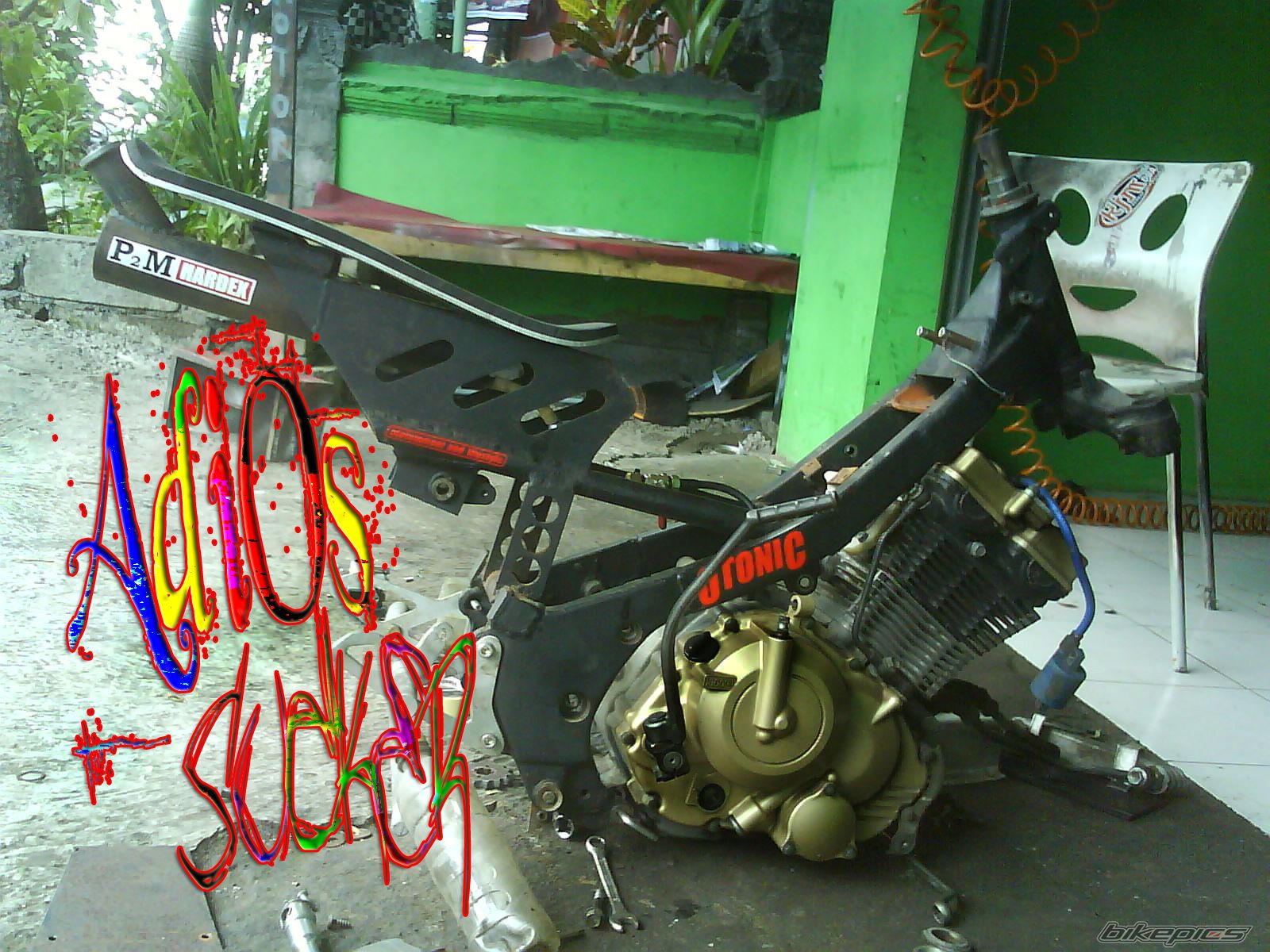 Photo 1491938