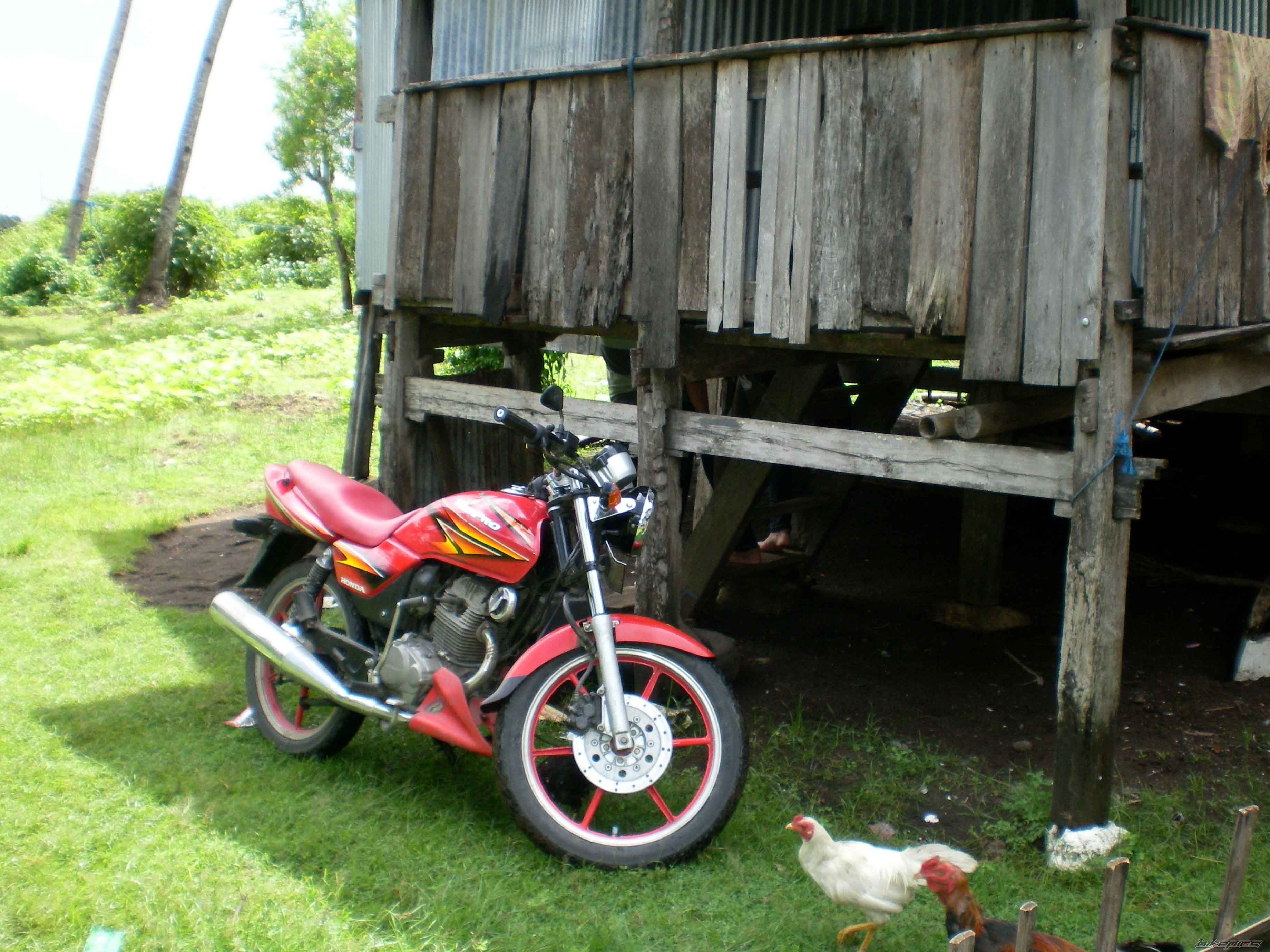 Photo 1491945