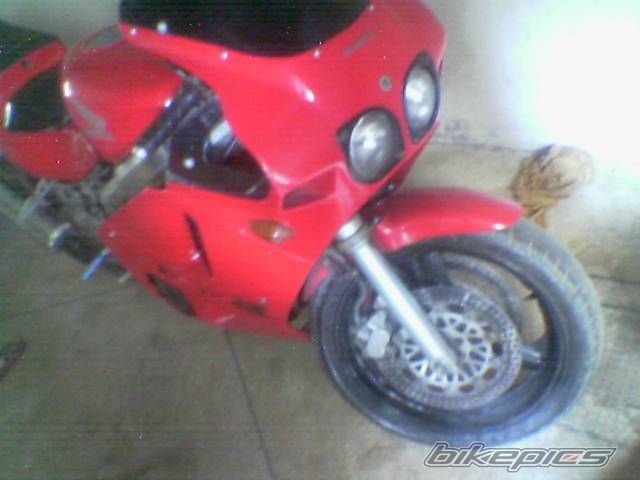 Photo 1491985