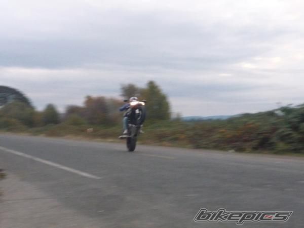 Photo 1491991