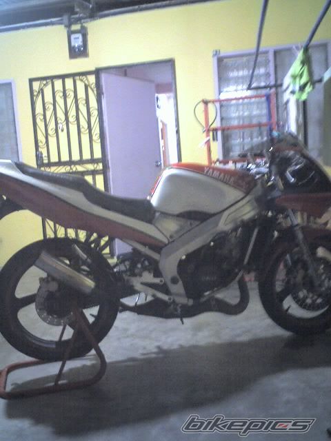 Photo 1492040