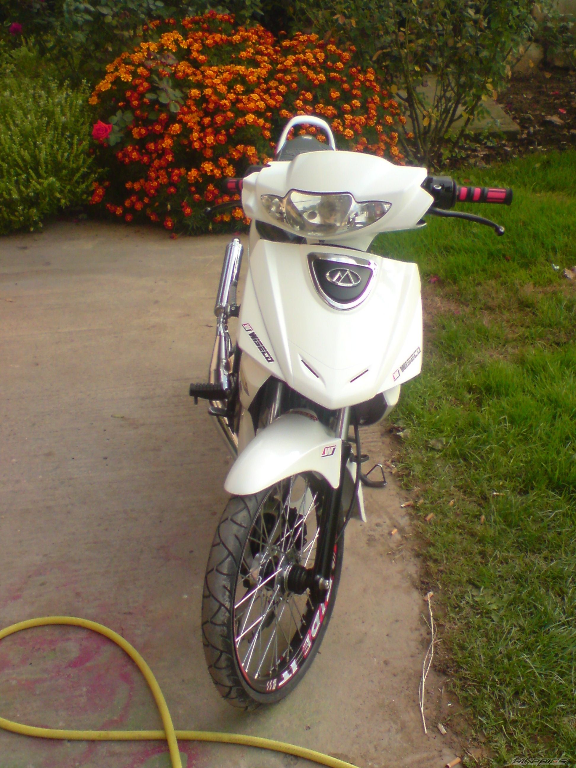 Photo 1492143