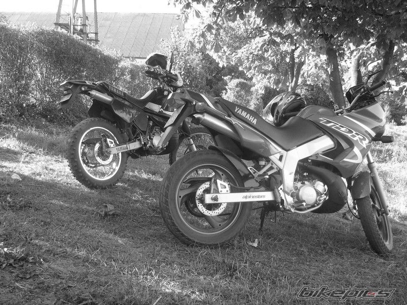 Photo 1492345
