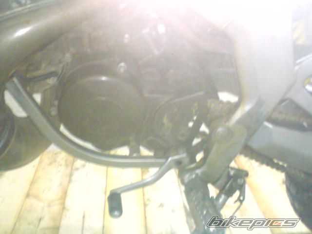 Photo 1492404