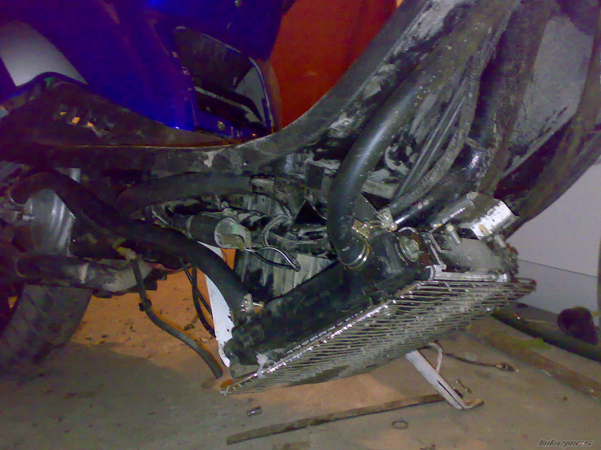 Photo 1492423