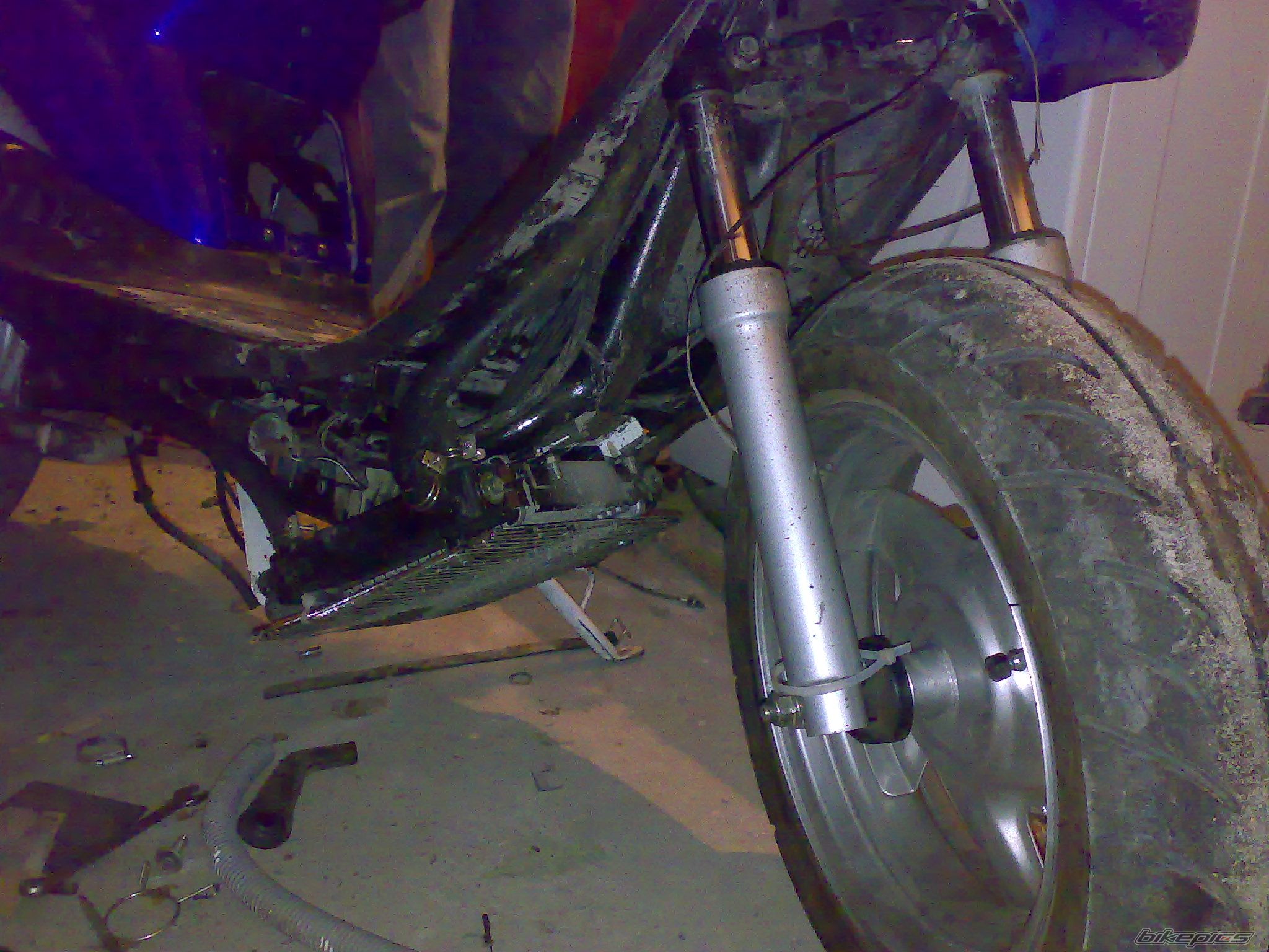 Photo 1492425