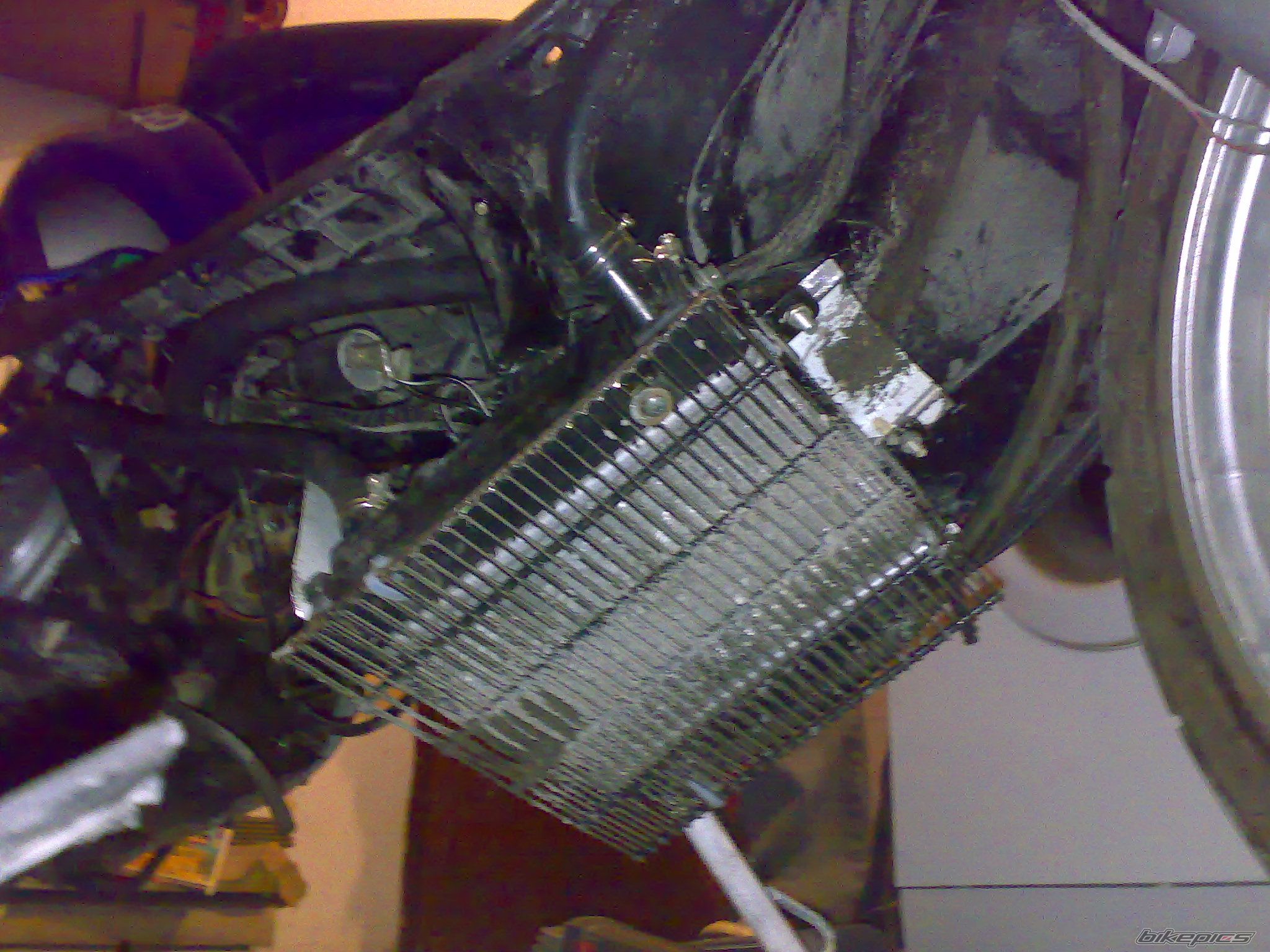 Photo 1492427