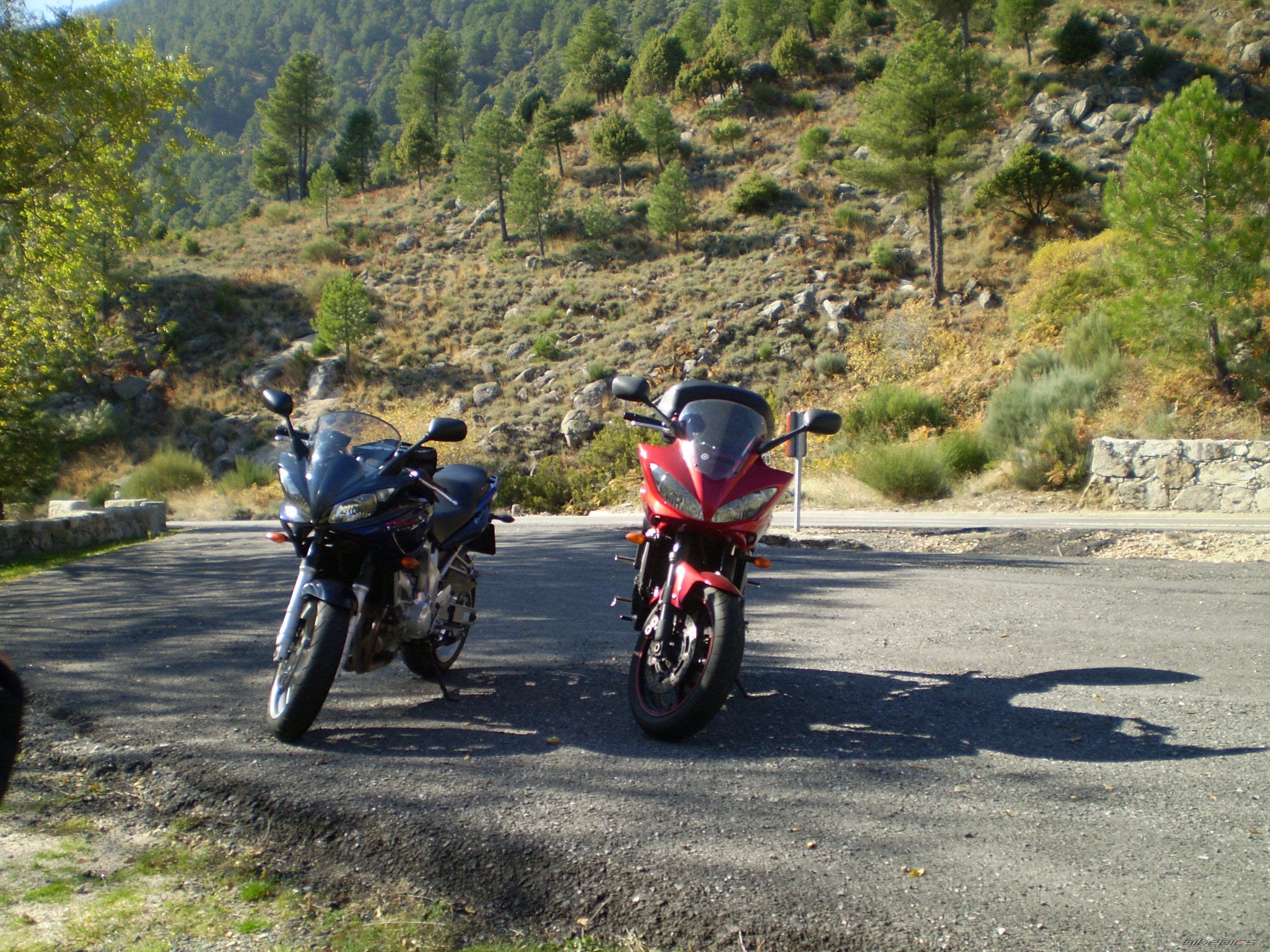 Photo 1492474