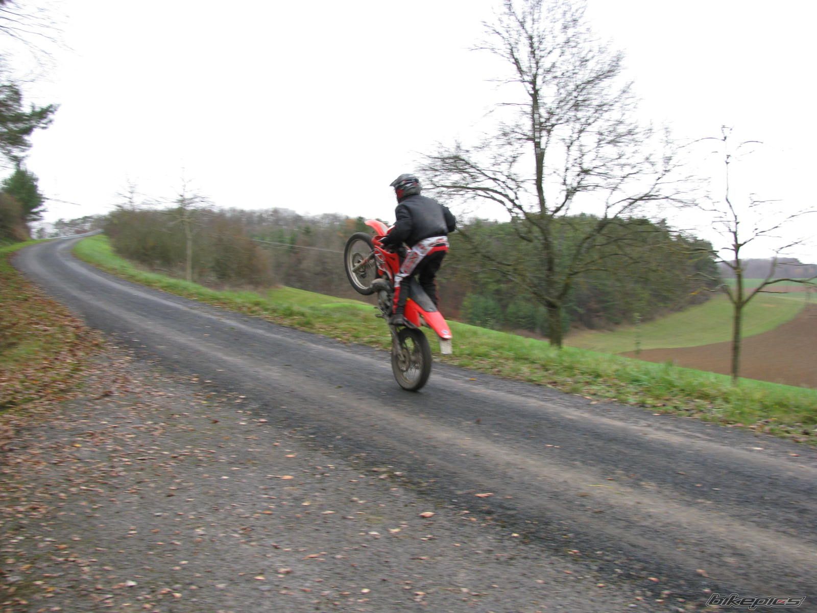 Photo 1492523