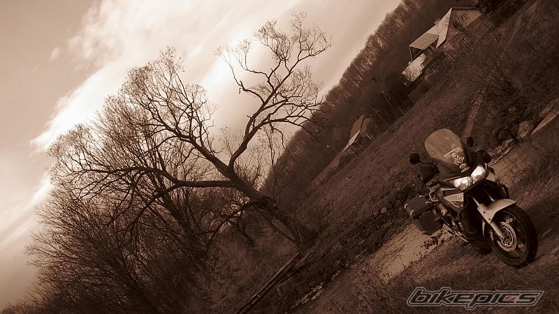 Photo 1492555