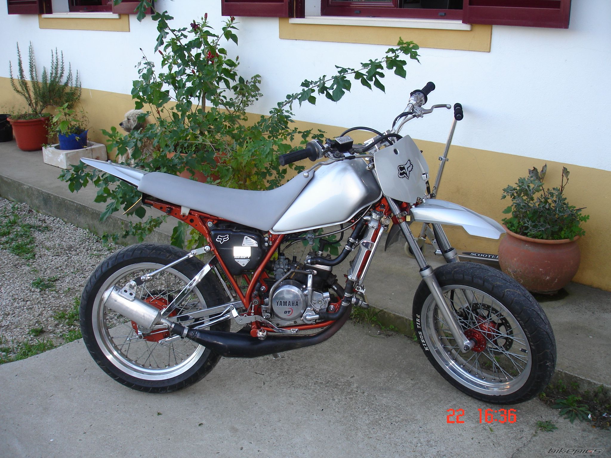 Photo 1492583