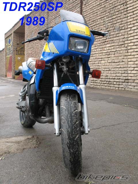 Photo 1492618