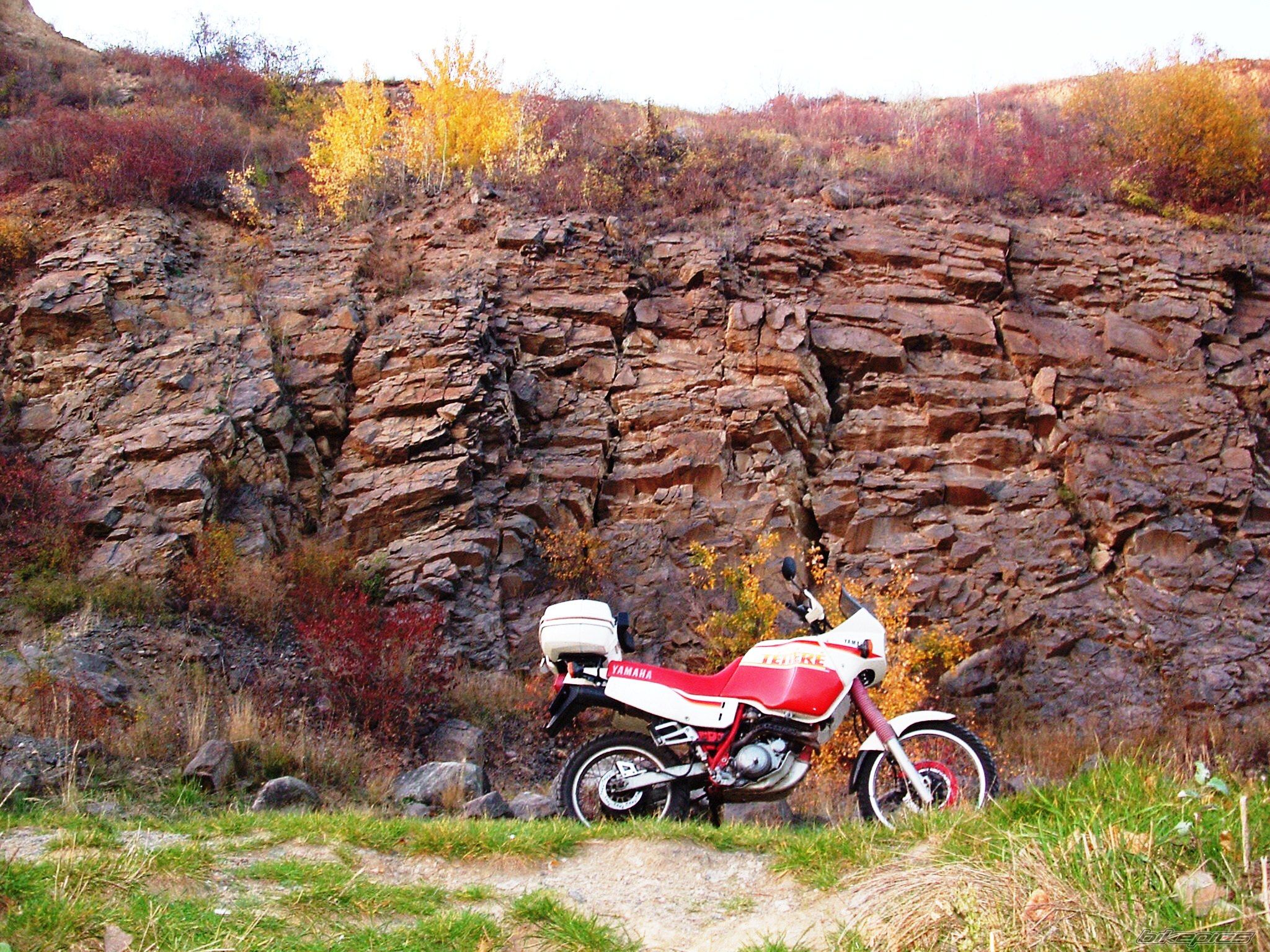 Bike Photo 1492648