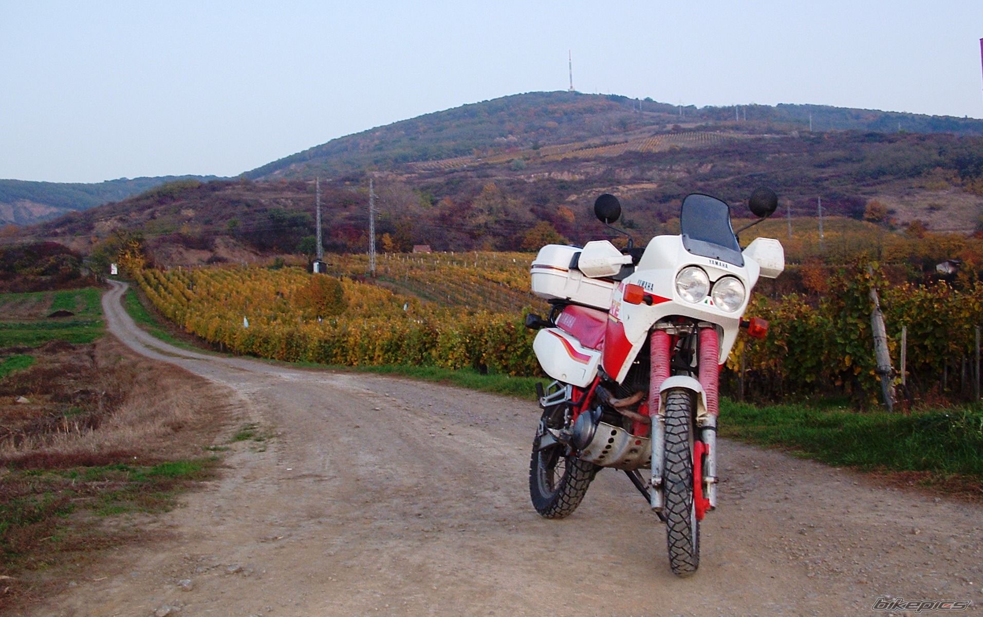 Bike Photo 1492662