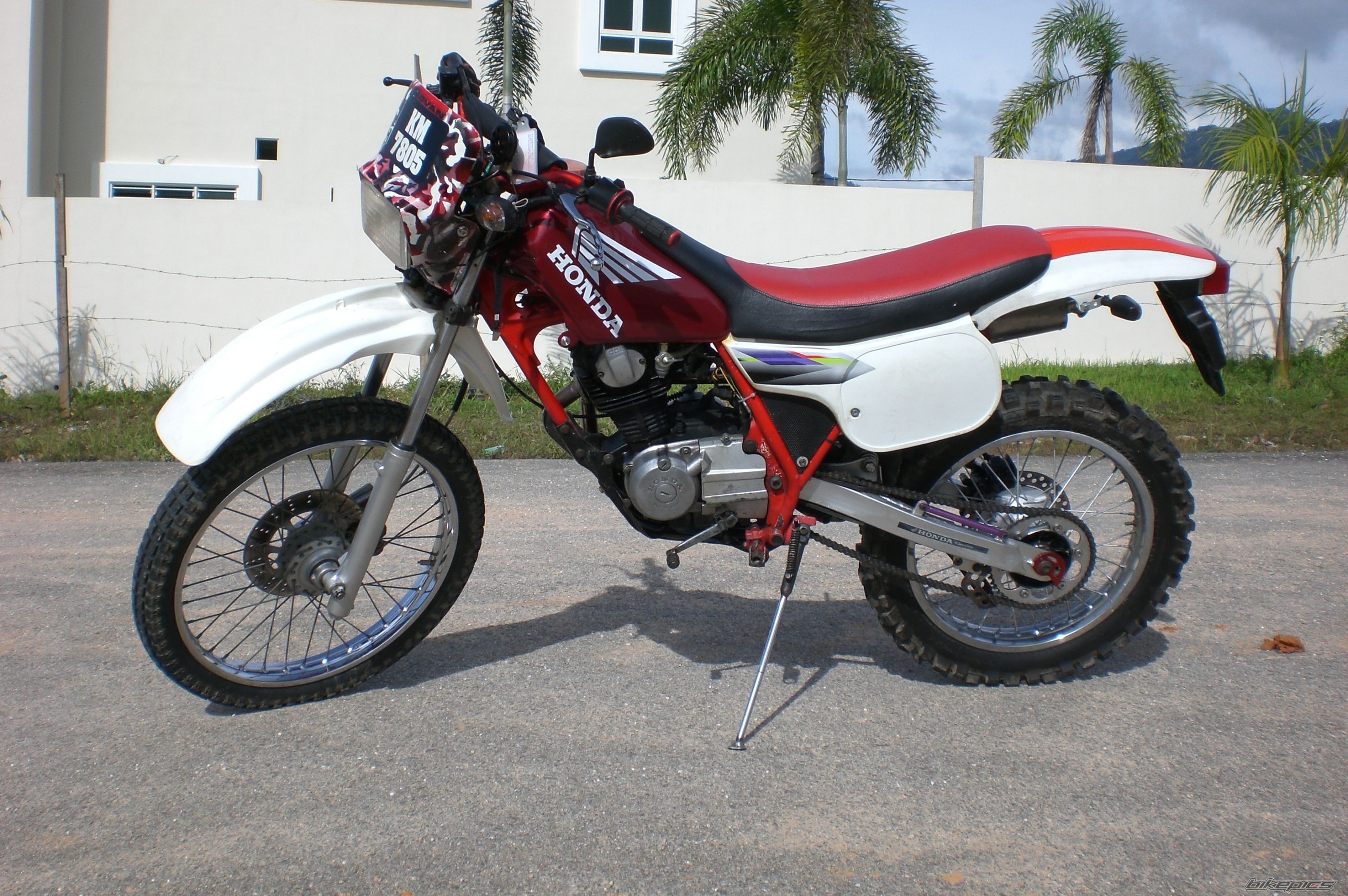 Photo 1492691