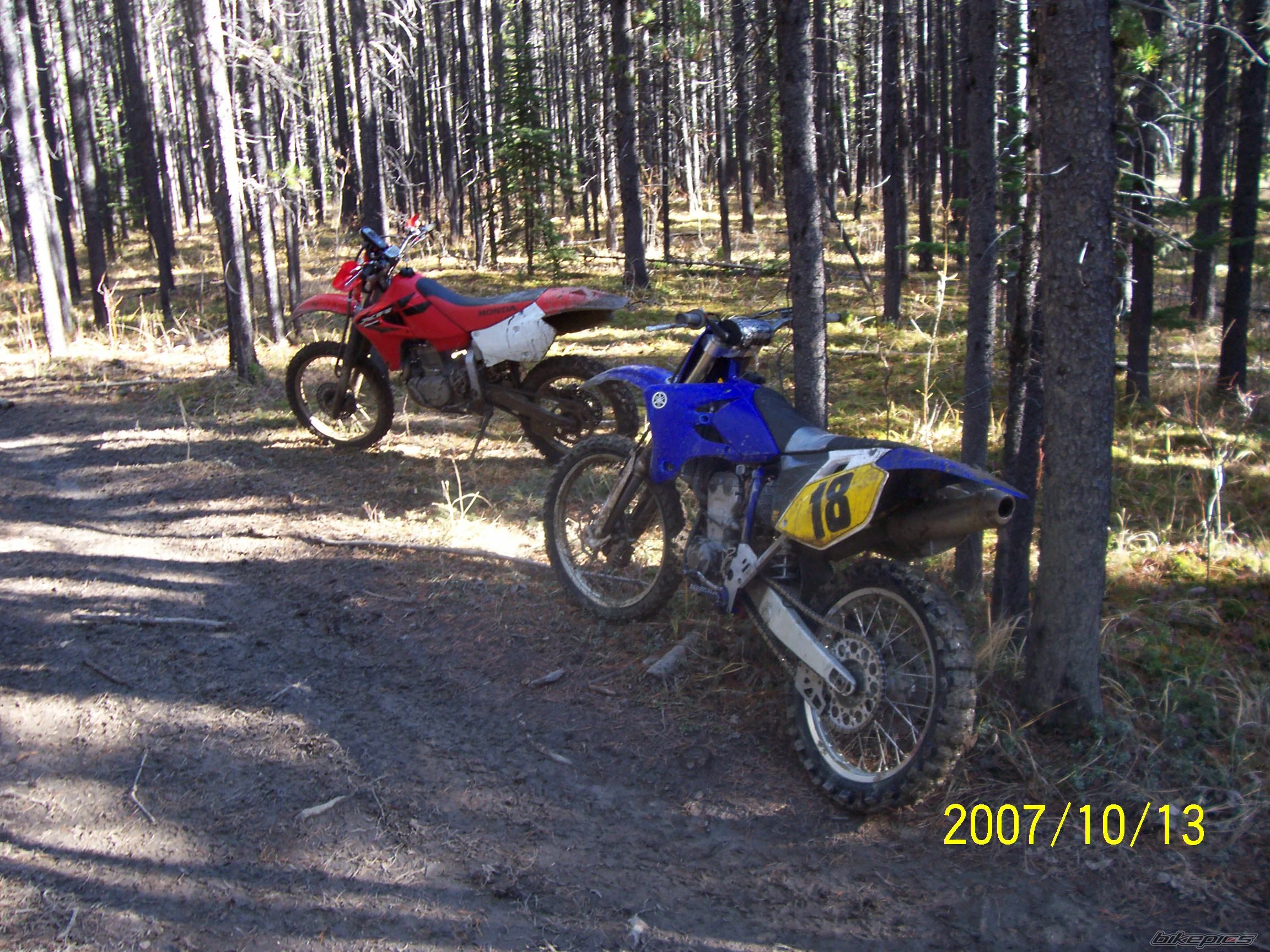 Photo 1492769