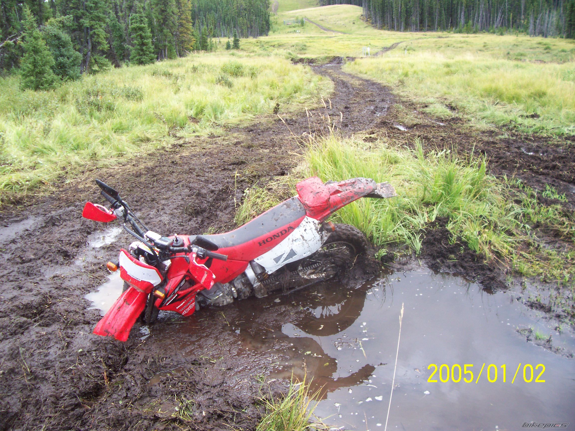 Photo 1492771