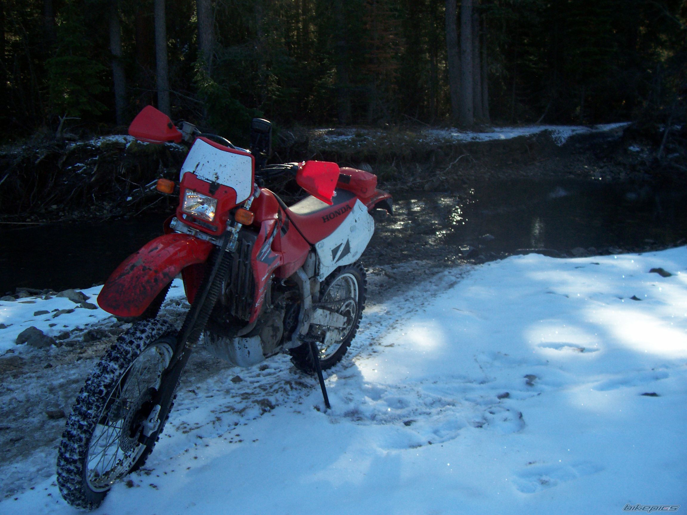 Photo 1492774