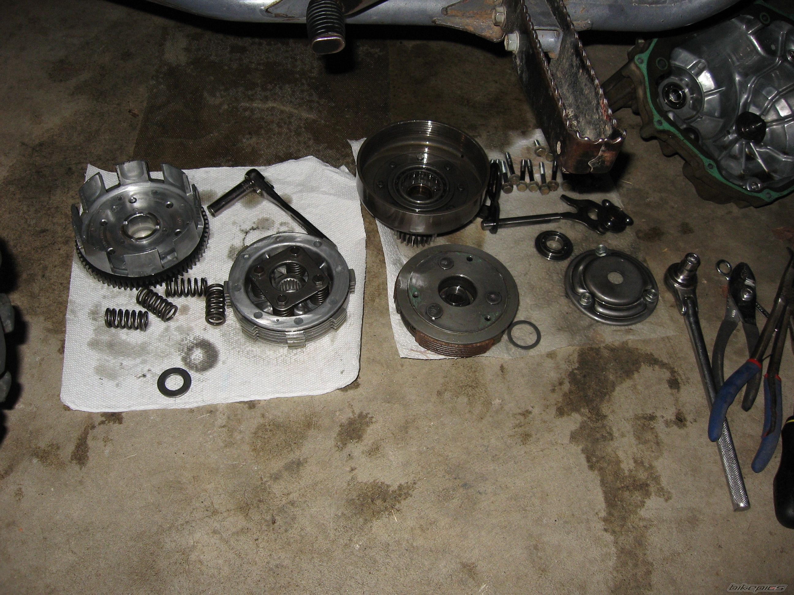 Photo 1492781
