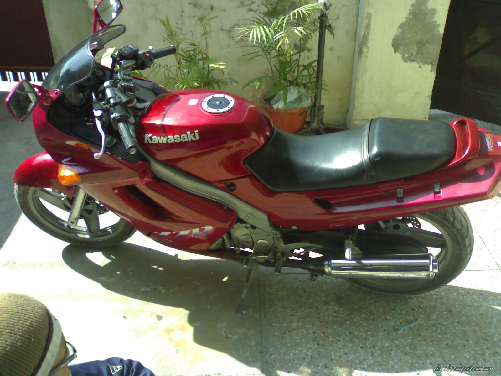 Photo 1492841