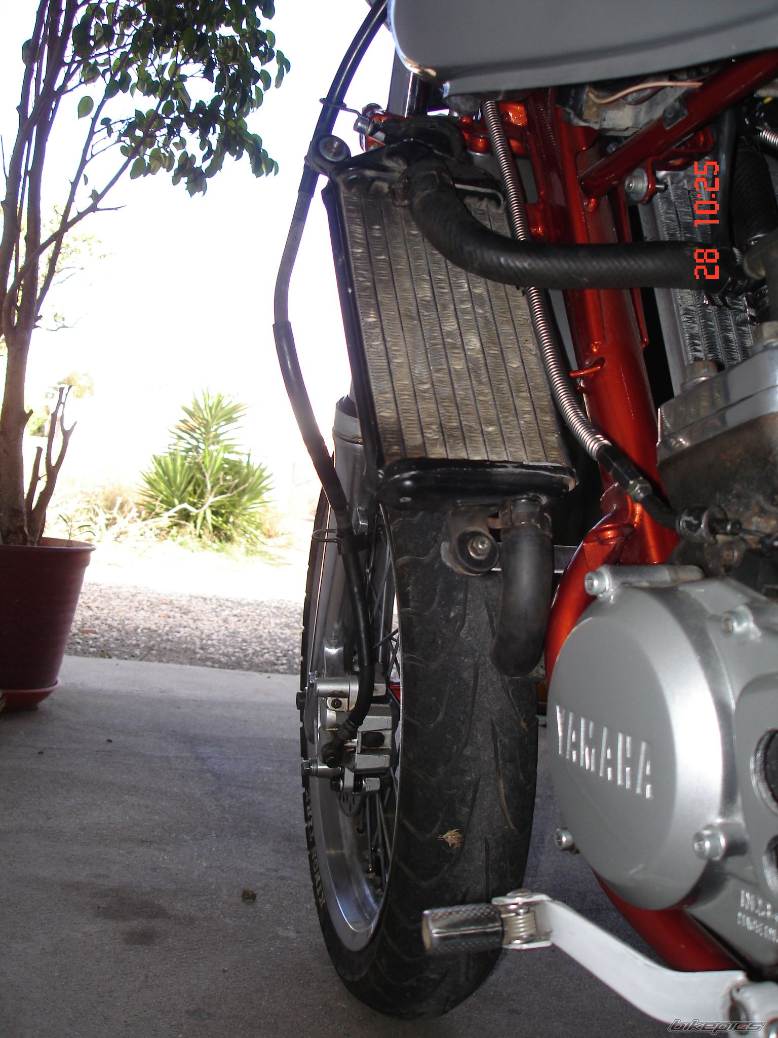 Photo 1492844