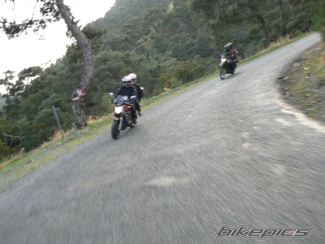 Photo 1493001