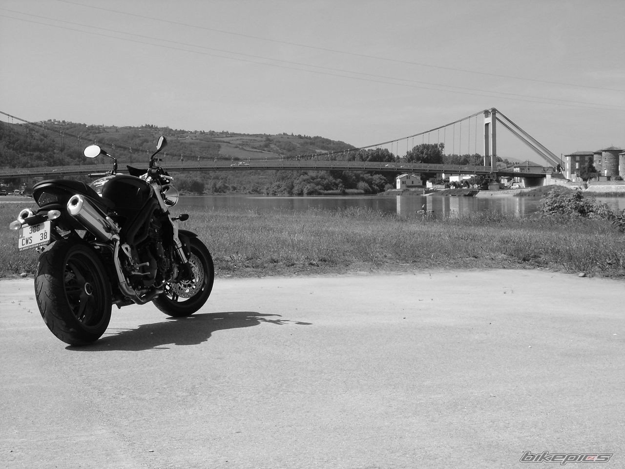 Photo 1493053