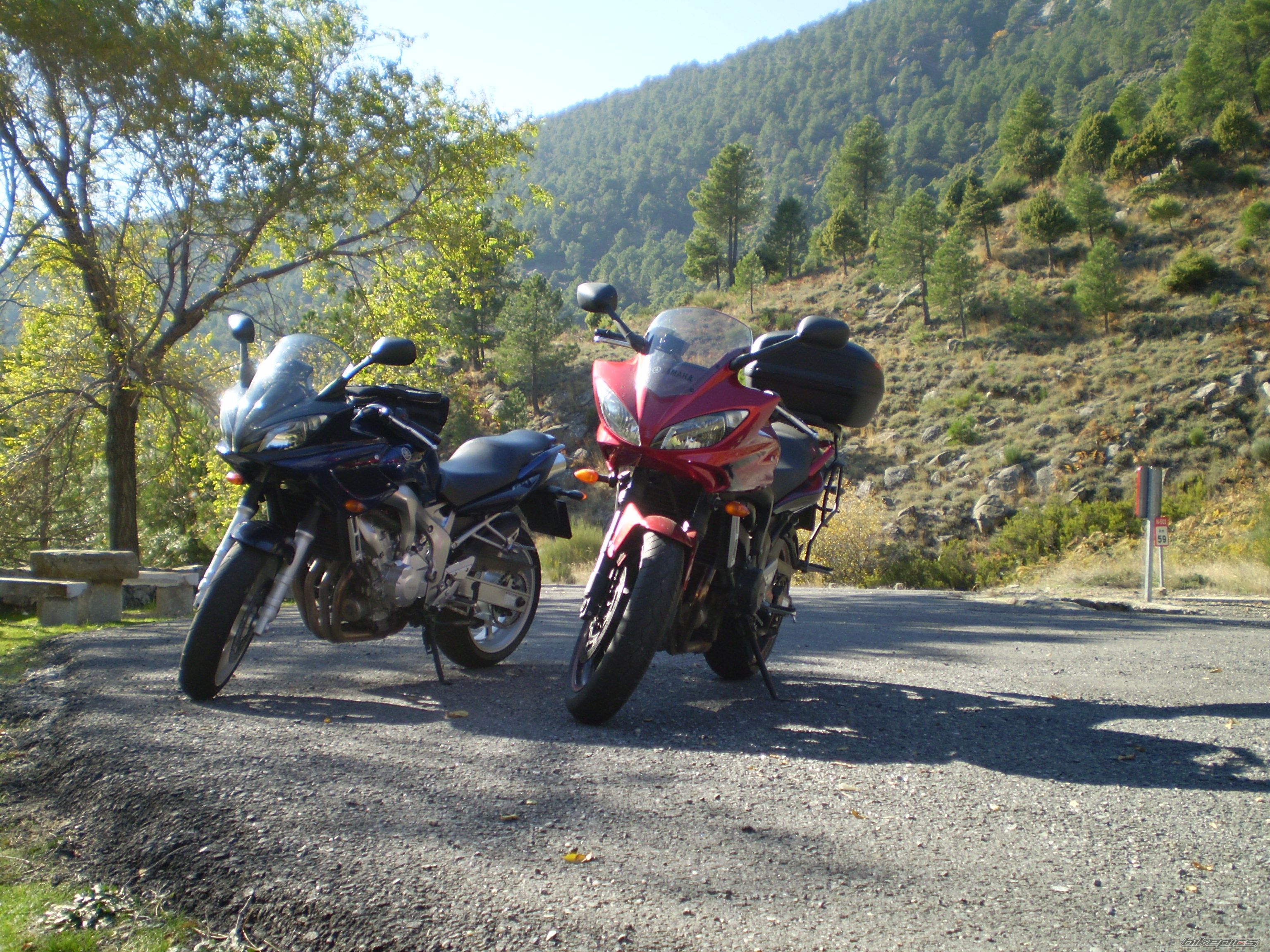 Bike Photo 1493095
