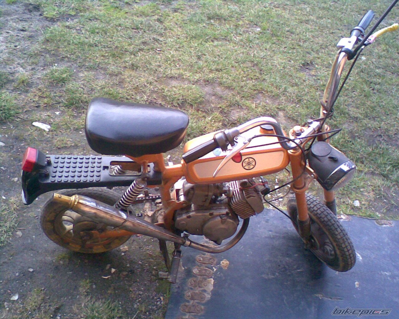 Photo 1493146