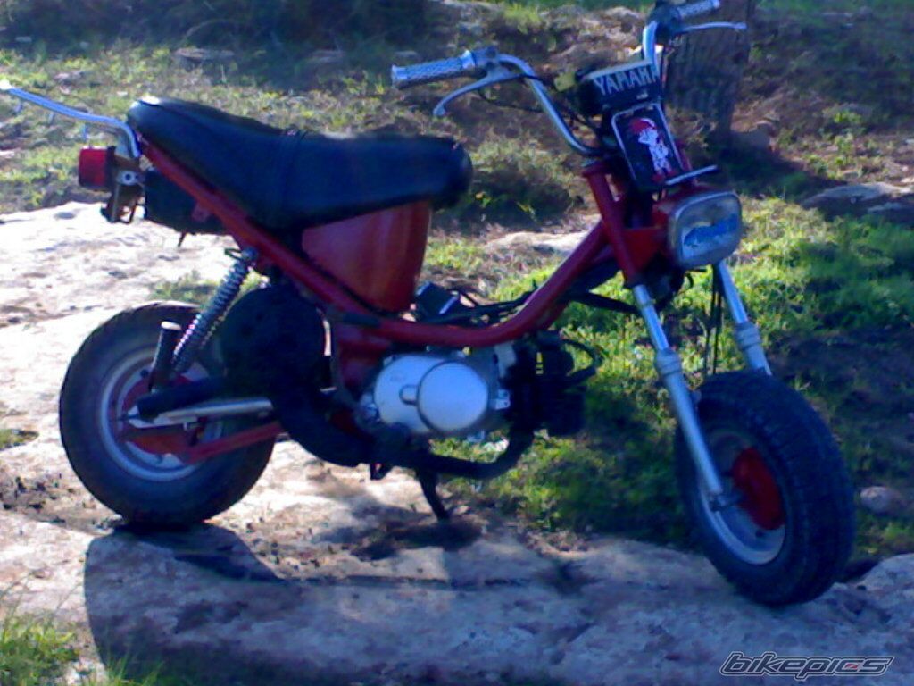 Photo 1493156