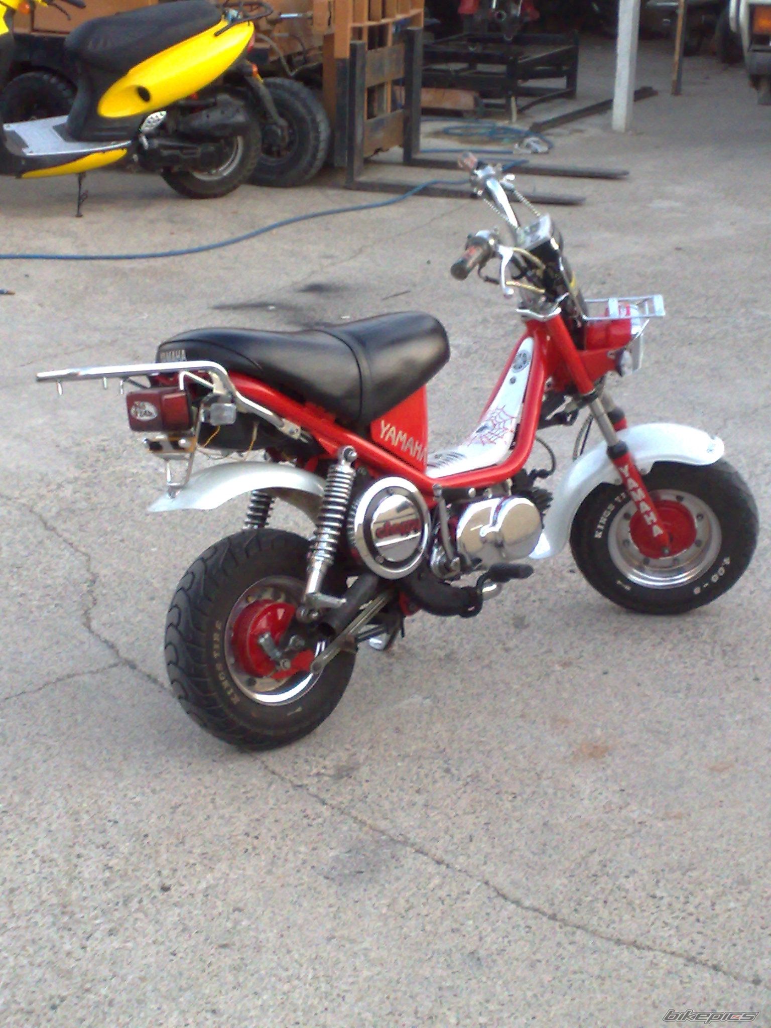 Photo 1493157
