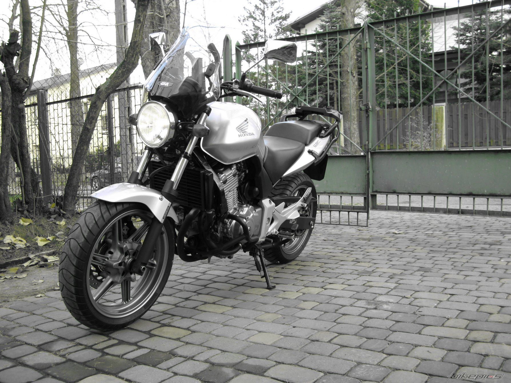 Photo 1493186