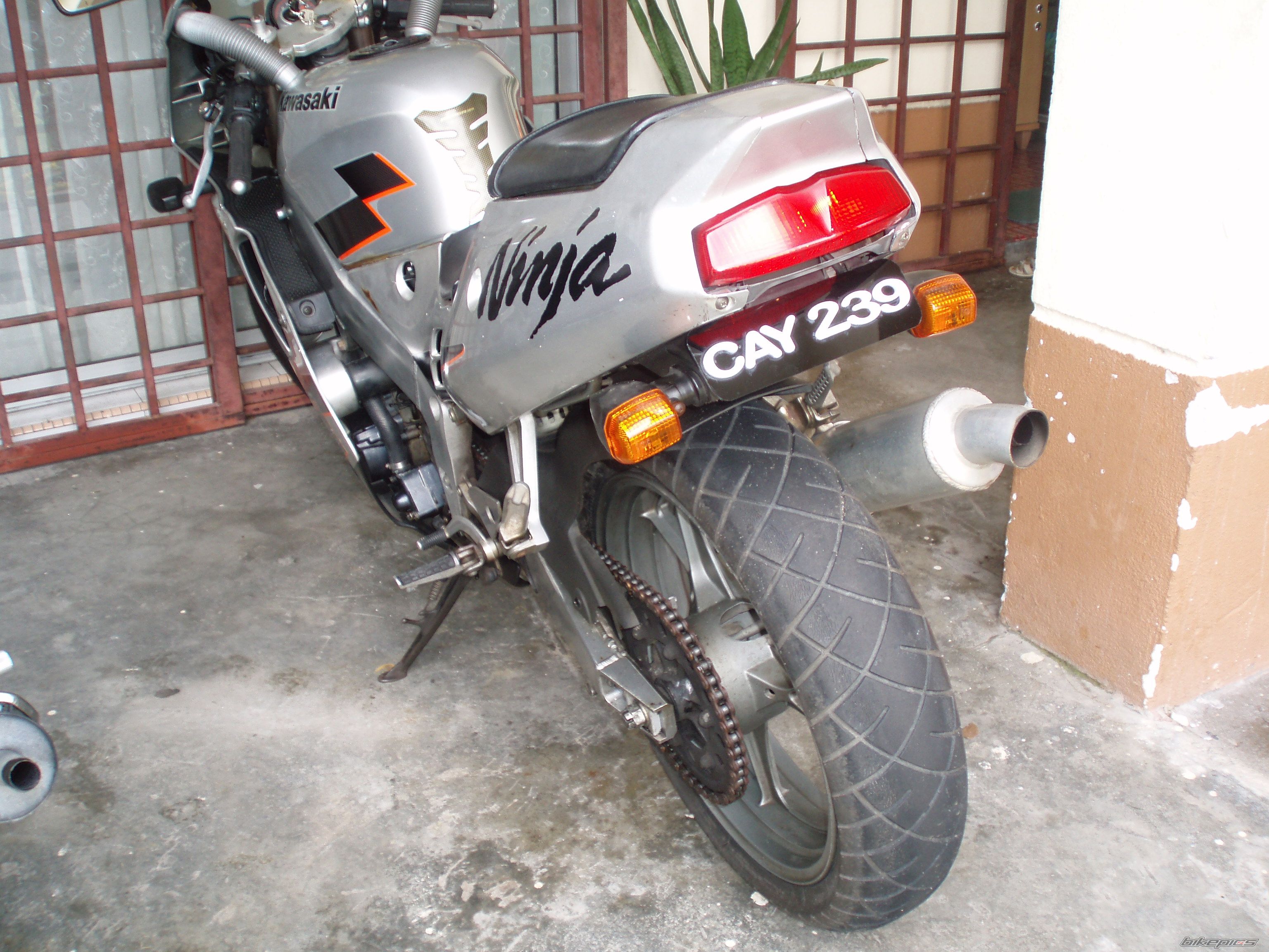 Photo 1493197