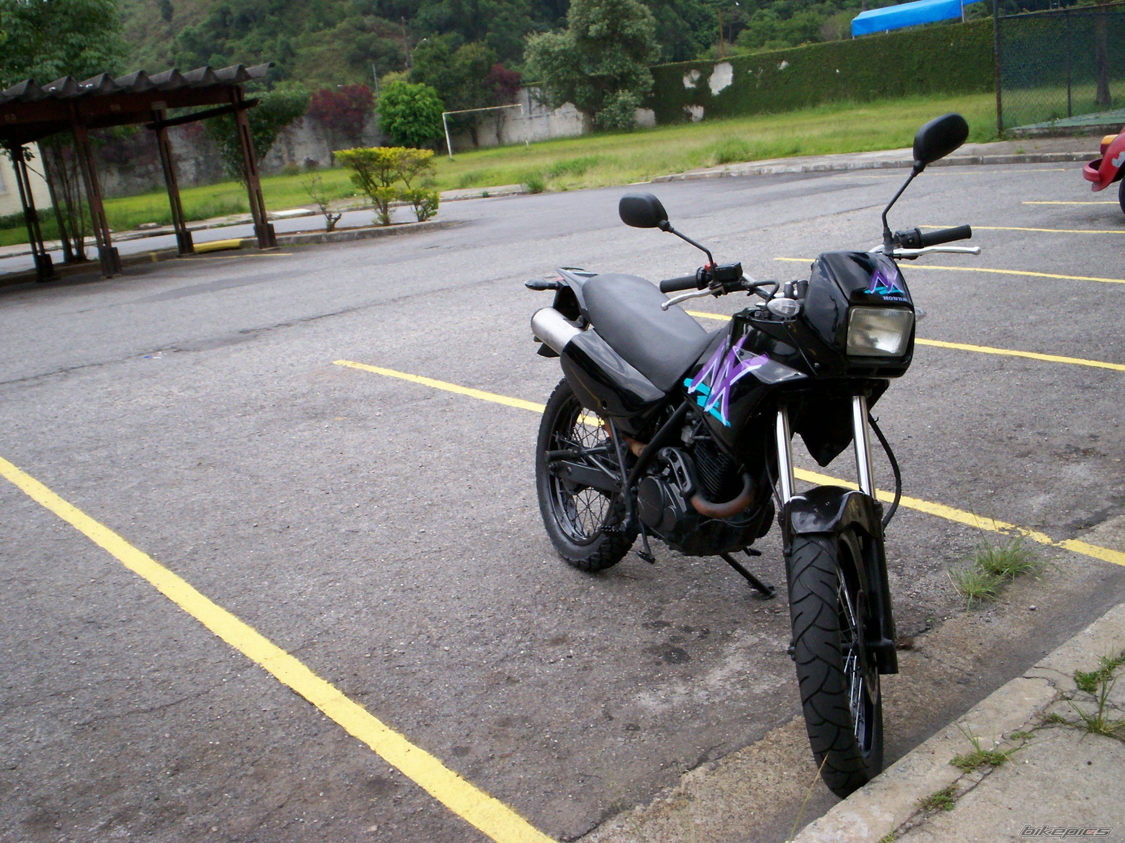 Photo 1493274