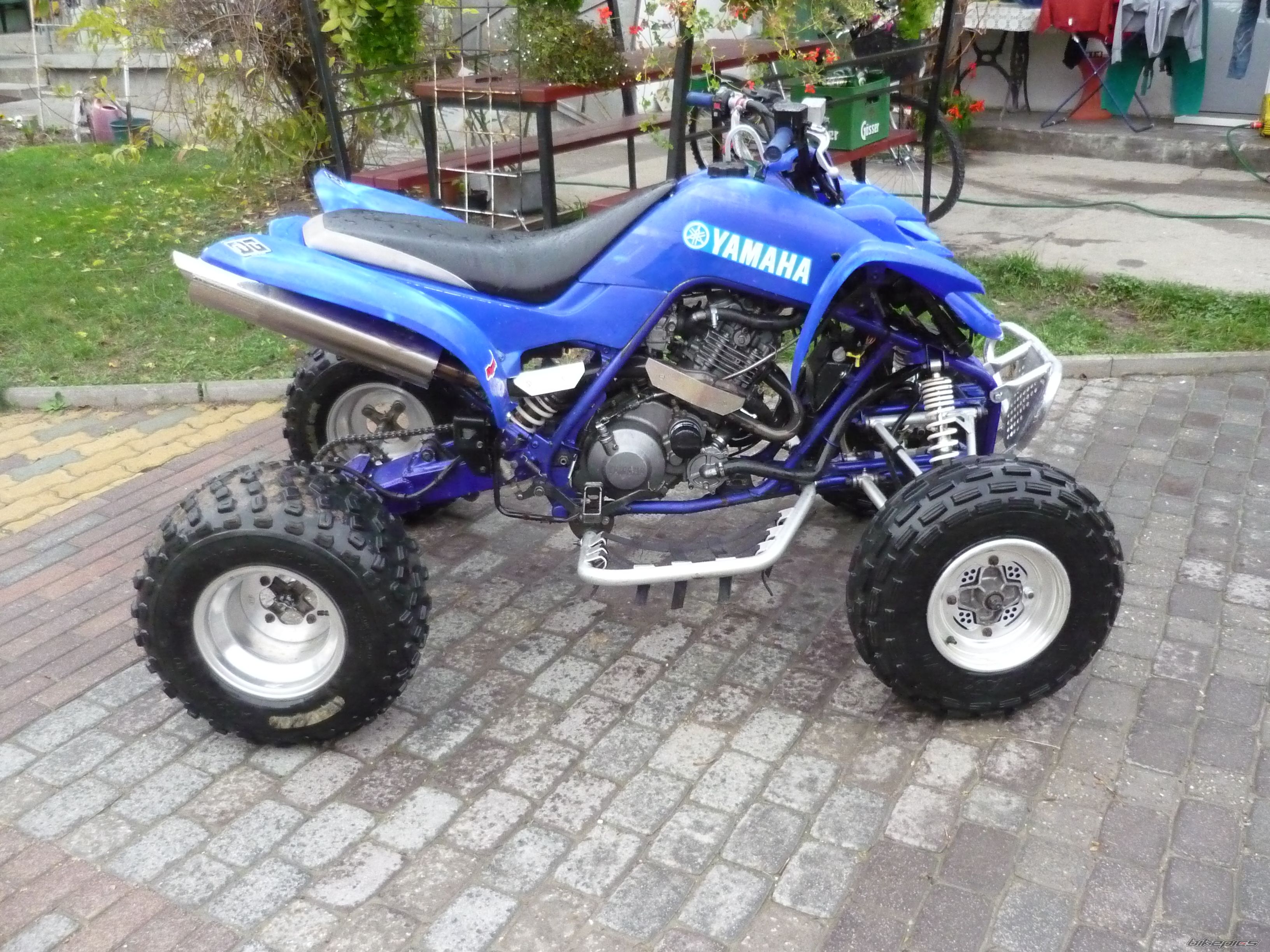 Photo 1493325