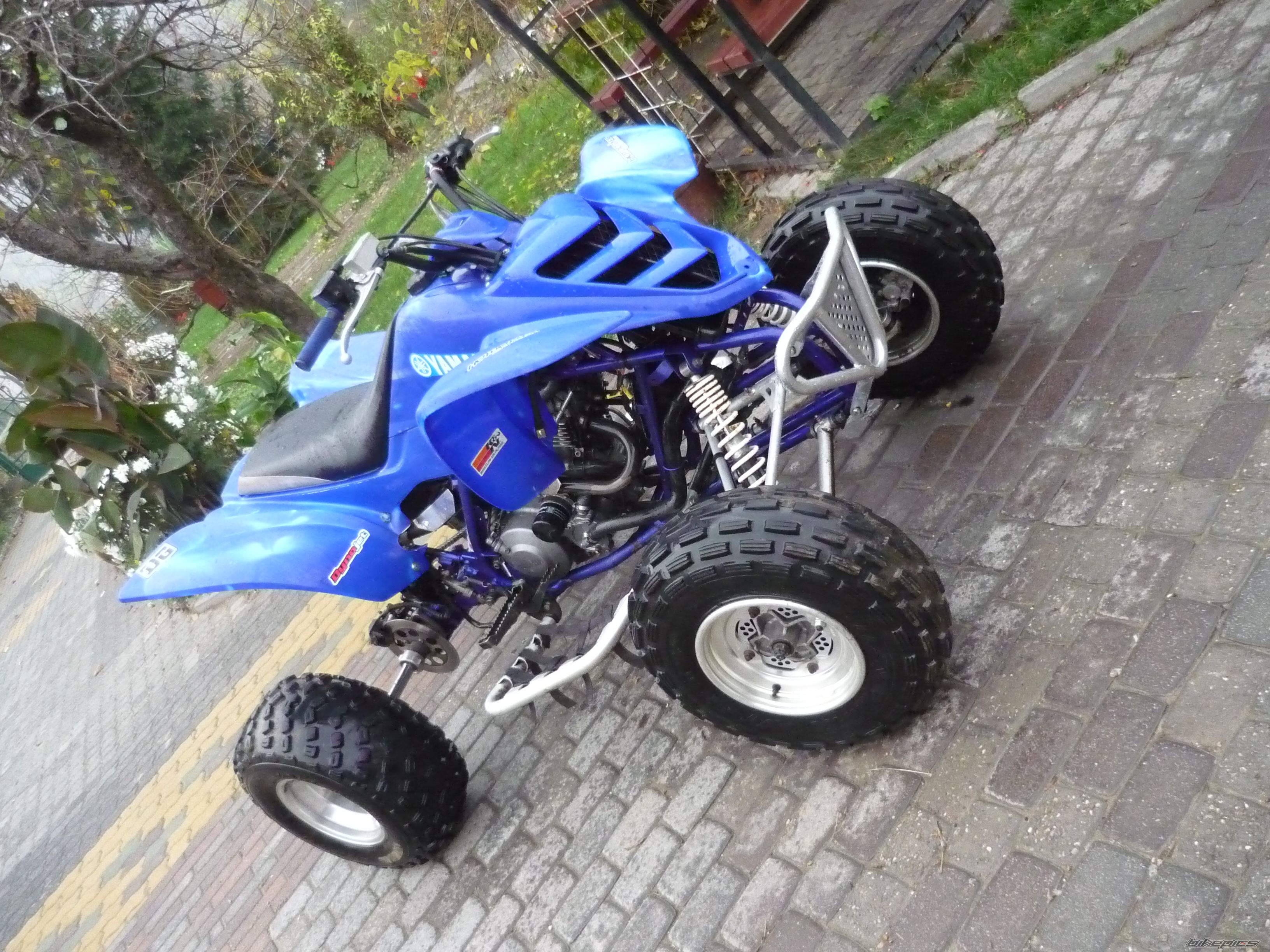 Photo 1493349