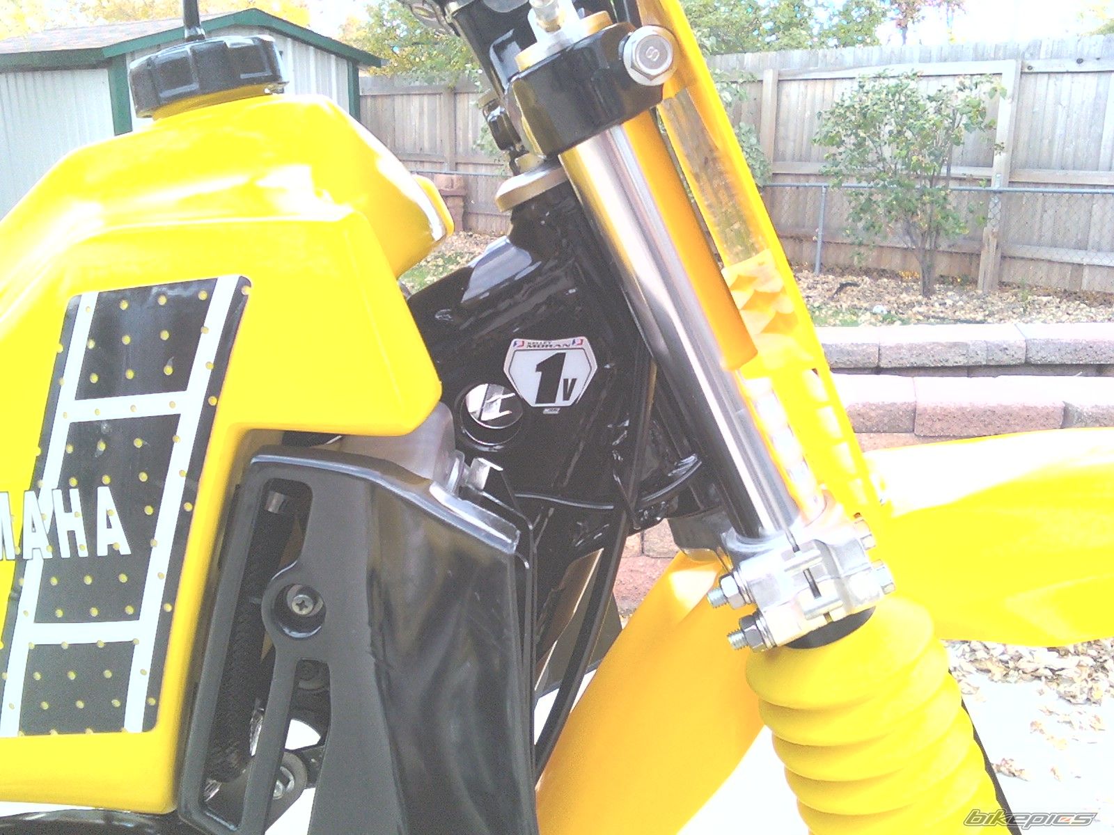 Photo 1493358