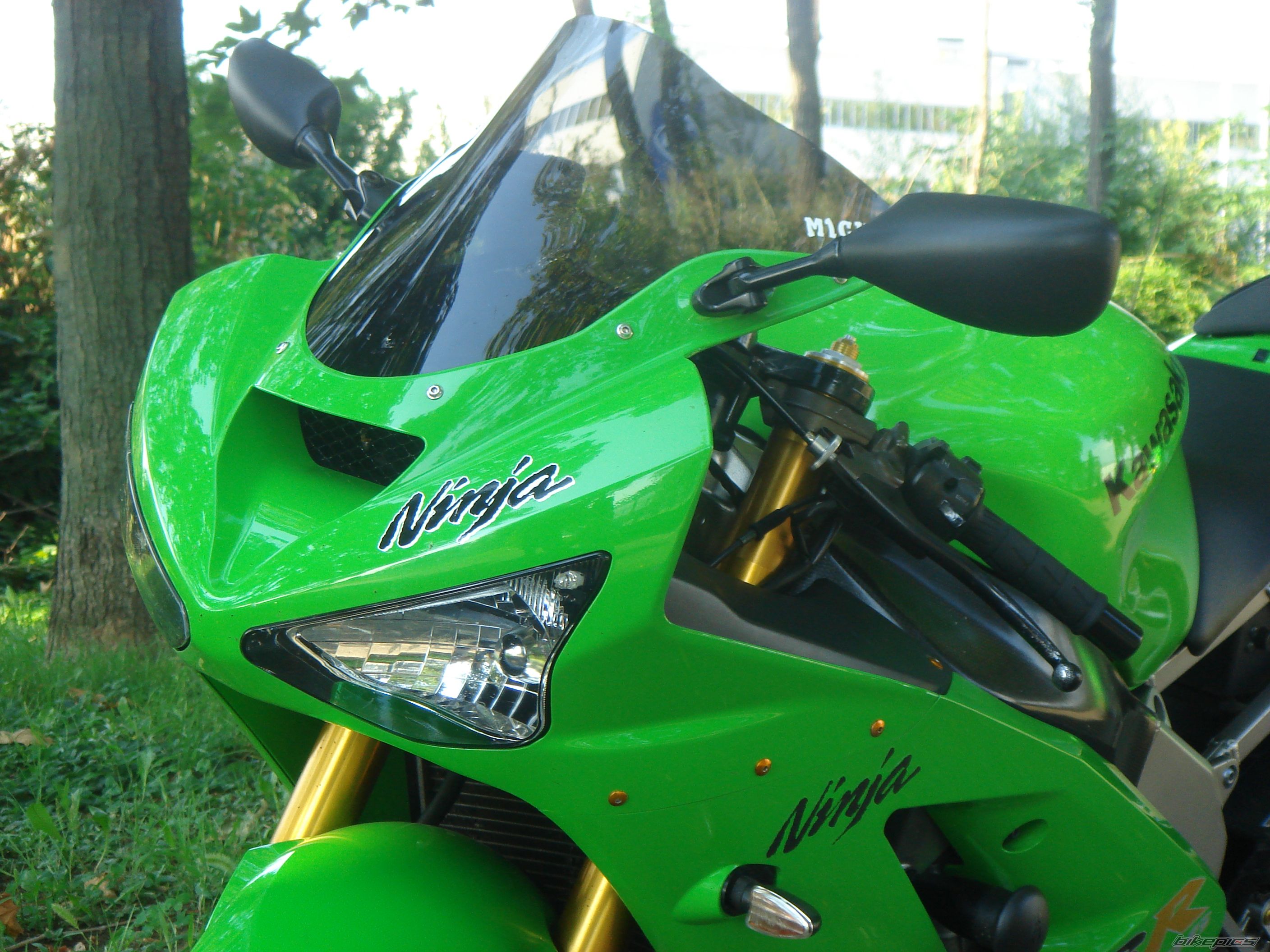 Photo 1493377