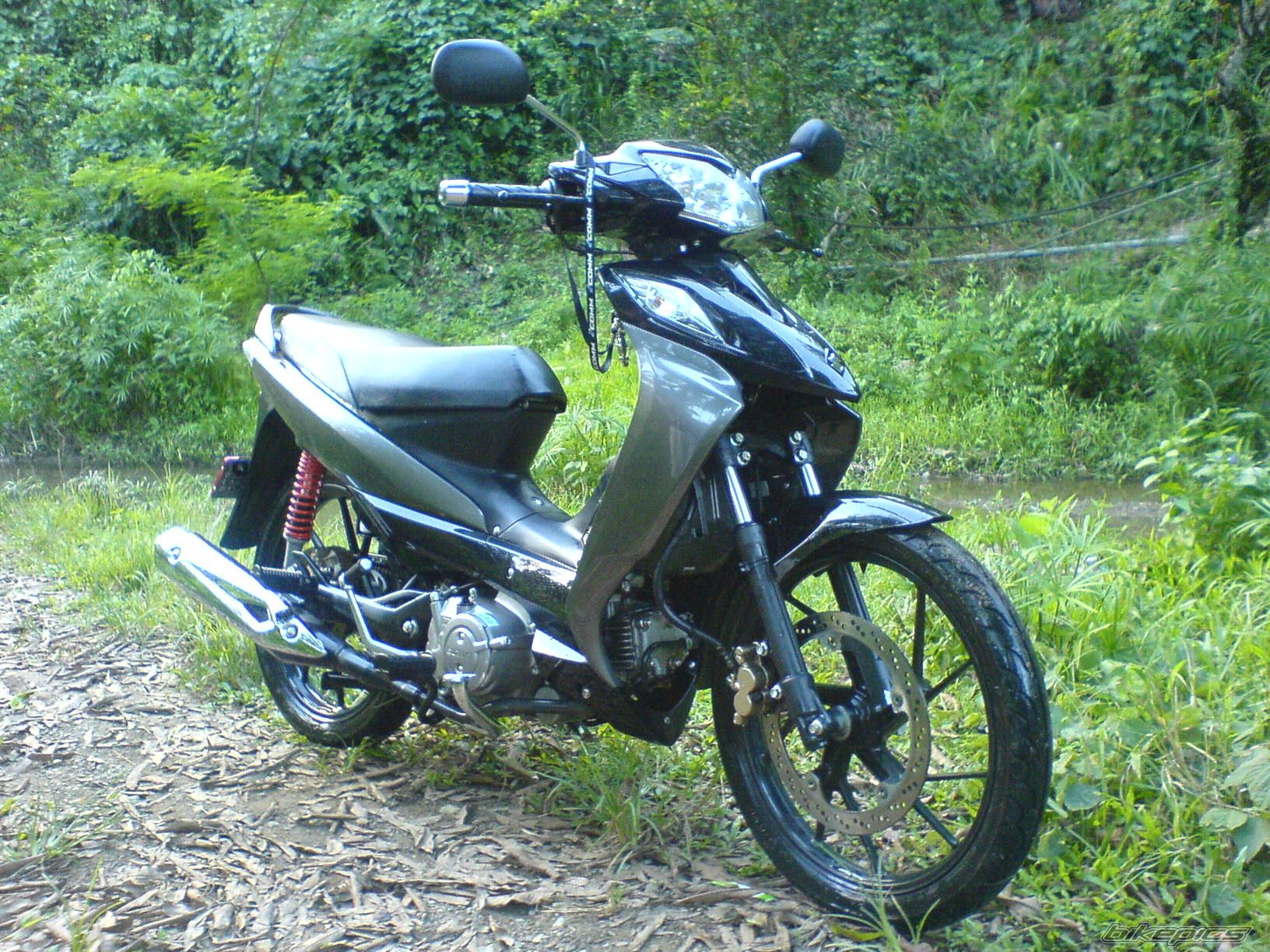 Photo 1493385